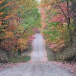 dirt road with trees and fall colors