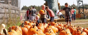 children at pumpkin patch