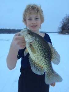 crappie will ice