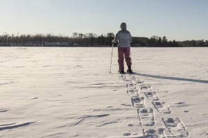 snowshoe tracks